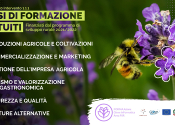 Al via da dicembre corsi di formazione gratuiti a sostegno delle piccole realtà produttive rurali