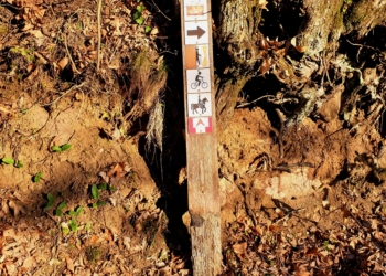 Alternativa per Porano: “L’Amministrazione Comunale di Porano, nella sua insipienza, è capace soltanto di buttarla in confusione”