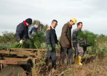 La Tuscia, terra di biodistretti, si impone come laboratorio territoriale strutturato per l’agricoltura sociale. Cronache e riflessioni intorno ad un progetto agro-sociale