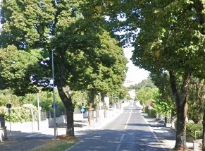 Intervento ripiantumazione tigli lungo SS 71 tratto tra rotatoria ponte “Sandro Pertini” e centro abitato “La Svolta”