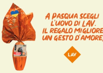 “Mai più animali esotici venduti in Italia”. Anche Lav Orvieto scende in piazza
