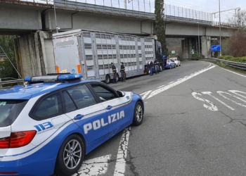 La Polizia di Stato intensifica i controlli sul trasporto animali vivi
