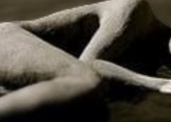 “Lingue mute. Poeti contro la guerra”, a Parrano un progetto di Luigia Sorrentino con Alessandro Anil e Fabrizio Fantoni