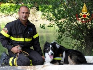 E’ morto Derby, il mitico Border Collie dei Vigili del Fuoco di Terni