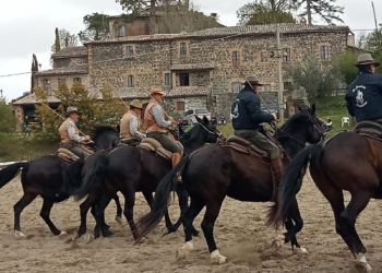 Al Circolo ippico La Cacciata successo di pubblico per la manifestazione sul cavallo maremmano