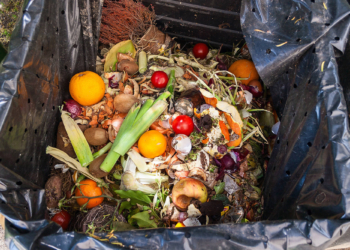 Ordine del giorno gruppo “Nuova Provincia Terni” su spreco alimentare e supporto a persone in difficoltà