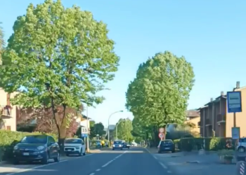 Taglio di alberi in Via degli Tigli, c’è chi si indigna: “Ora come dovremmo chiamare quella strada?”