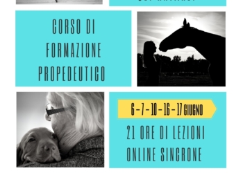 Al via le iscrizioni al Corso propedeutico per “Interventi Assistiti con gli Animali” al Csco