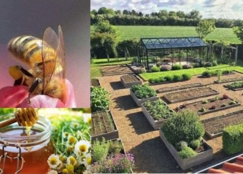 A Palazzo Cesi si celebra la Giornata Mondiale delle Api