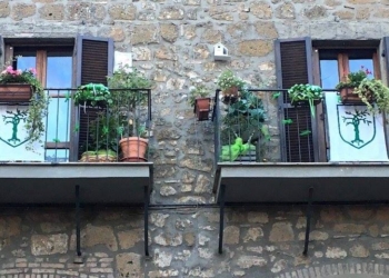 “Finestre, vetrine e balconi in fiore con i colori dei quartieri” torna il concorso con “Orvieto in Fiore”