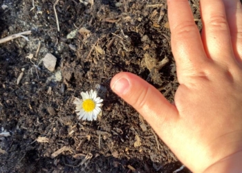 A Castel Viscardo prosegue la felice esperienza di “Un prato in comune” con i bambini da 1 a 6 anni