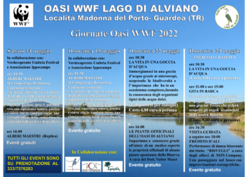 All’Oasi di Alviano 4 appuntamenti per scoprire le bellezze di un luogo incontaminato