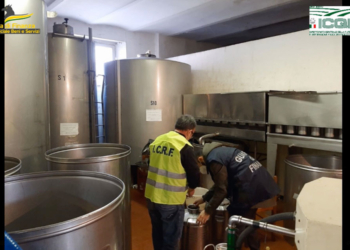 Operazione “Verum et Oleum”, sequestrati dalla Guardia di Finanza oltre 2,3 milioni di litri di olio evo irregolare