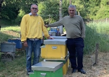 “Proteggi le api insieme alla Riserva MAB Unesco dell’Umbria”. “Sostegni seri e duraturi agli apicoltori, presidio essenziale della biodiversità, e alla produzione di miele di qualità” 