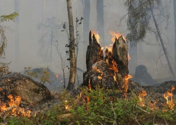 Campagna antincendio 2022, misure precauzionali di prevenzione incendi nel territorio comunale