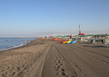 Da domenica 26 giugno torna il bus per Montalto. Orari e prezzi