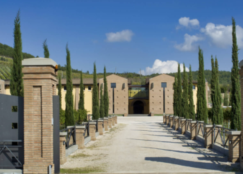 I futuri “Ambasciatori del Vino” di Orvieto in visita alla Cantina Castel Noha di Ficulle