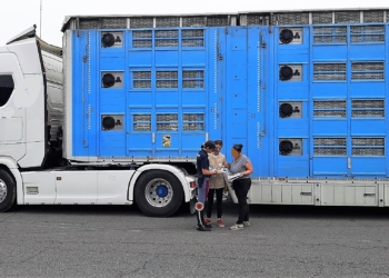 Prosegue incessante l’attività della Polizia di Stato volta a garantire il rispetto delle norme che tutelano il trasporto di animali vivi
