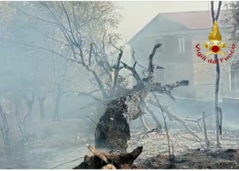 Le fiamme divorano i boschi a Guardea, Orvieto e Montecchio: proseguite per tutta la notte le operazioni di spegnimento