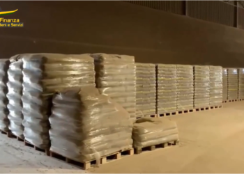 Sequestrate dalla Gdf oltre 5mila tonnellate di pellet contraffatto, denunciate 52 persone