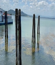 Siccità, confermata estensione all’Umbria dello stato di emergenza