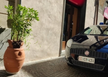 Danneggia vasi in centro, denunciato un 18enne tunisino