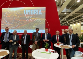 Nasce il Distretto di filiera del Vino regionale.  Umbria Top Wines: “Un risultato storico”
