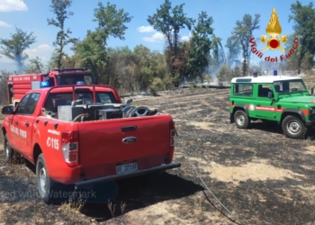 Fiamme nella zona di Camorena, il fuoco lambisce l’Autostrada