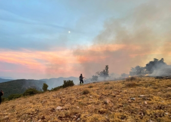 Le fiamme divorano bosco tra Montecchio e Baschi