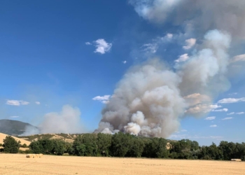 Vasto incendio divora bosco tra Guardea e Lugnano: il secondo nel giro di pochi giorni