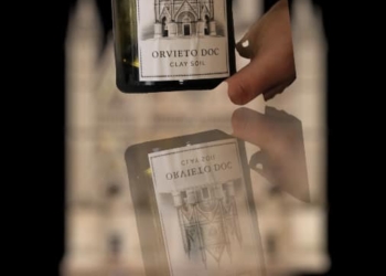 “L’Orvieto allo specchio”, incontro con i maggiori esperti del settore vitivinicolo per nuove strategie di sviluppo