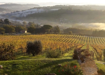 Terre dei Borghi Verdi, n itinerario affascinante fra antichi sentieri, vitigni e suggestioni religiose