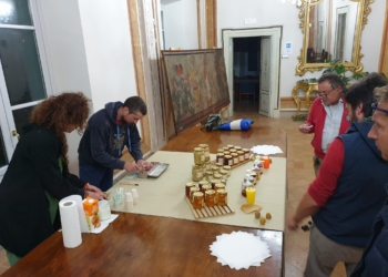 Partecipazione per il convegno “Api, Miele, Reti ecologiche e Territori”