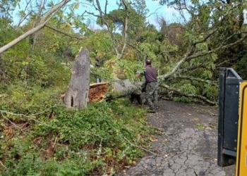 Caduta alberi e allagamenti in varie zone del territorio comunale hanno impegnato CSM, ProCiv e VVff