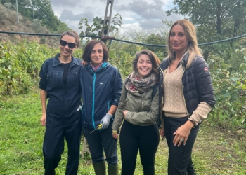 Al via la vendemmia dell’Agrario Ipaa di Fabro: il “Rosso Marchino” al secondo anno