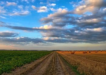 Psr Umbria, approvata la modifica del piano finanziario: riorientati circa 29 milioni di euro per crescita agricoltura