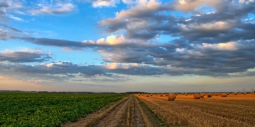 Psr Umbria, approvata la modifica del piano finanziario: riorientati circa 29 milioni di euro per crescita agricoltura