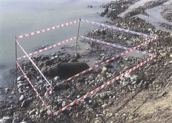 Operazioni di brillamento della bomba rinvenuta nel Paglia, verranno evacuate circa 2300 persone