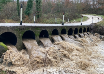 Maltempo su Orvieto, il Paglia sorvegliato speciale: livello oltre 4 metri. Alberi caduti e strade chiuse