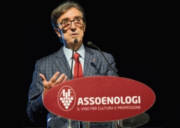 “L’intervento del Governo è un primo passo importante per riaprire l’interlocuzione con l’Irlanda”