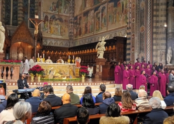 Santa Messa nella Giornata della Pace 2023, l’omelia del Vescovo Sigismondi