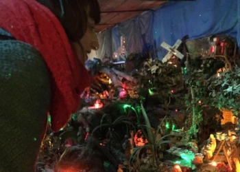 Il Presepe del Signor Scimmio