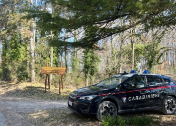 Cacciatore di frodo uccide un cervo nel Centro di recupero gestito dai carabinieri della Biodiversità