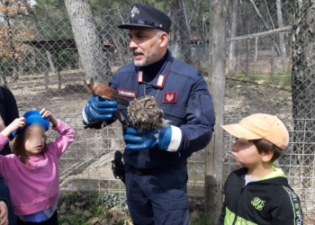 “Per la Pace – con la Cura”, proseguono le attività per l’Istituto Omnicomprensivo R. Laporta di Fabro