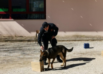 Cultura della legalità: incontro tra gli studenti dell’Istituto Comprensivo “Orvieto-Baschi” e i Carabinieri
