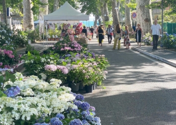 A Bolsena dal 16 al 18 giugno la 25esima edizione della Festa delle Ortensie