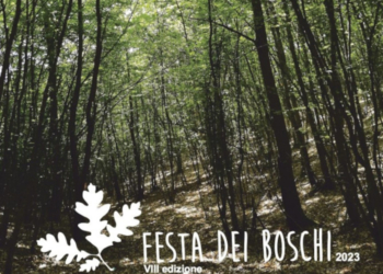 Escursioni, musica, intermezzi bio-gastronomici, passeggiate notturne … Al via la Festa dei Boschi
