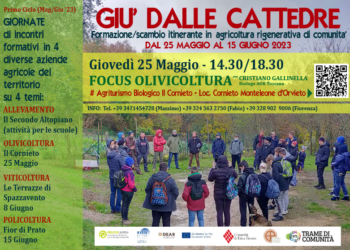 “Giù dalle cattedre”, 4 incontri formativi in altrettante aziende agricole del territorio