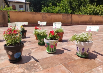 I Nidi a Orvieto in fiore: una sfilata di colorata felicità