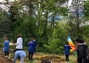 Nuove piante messe a dimora dai bambini e una bandiera della pace per la “Festa della terra”